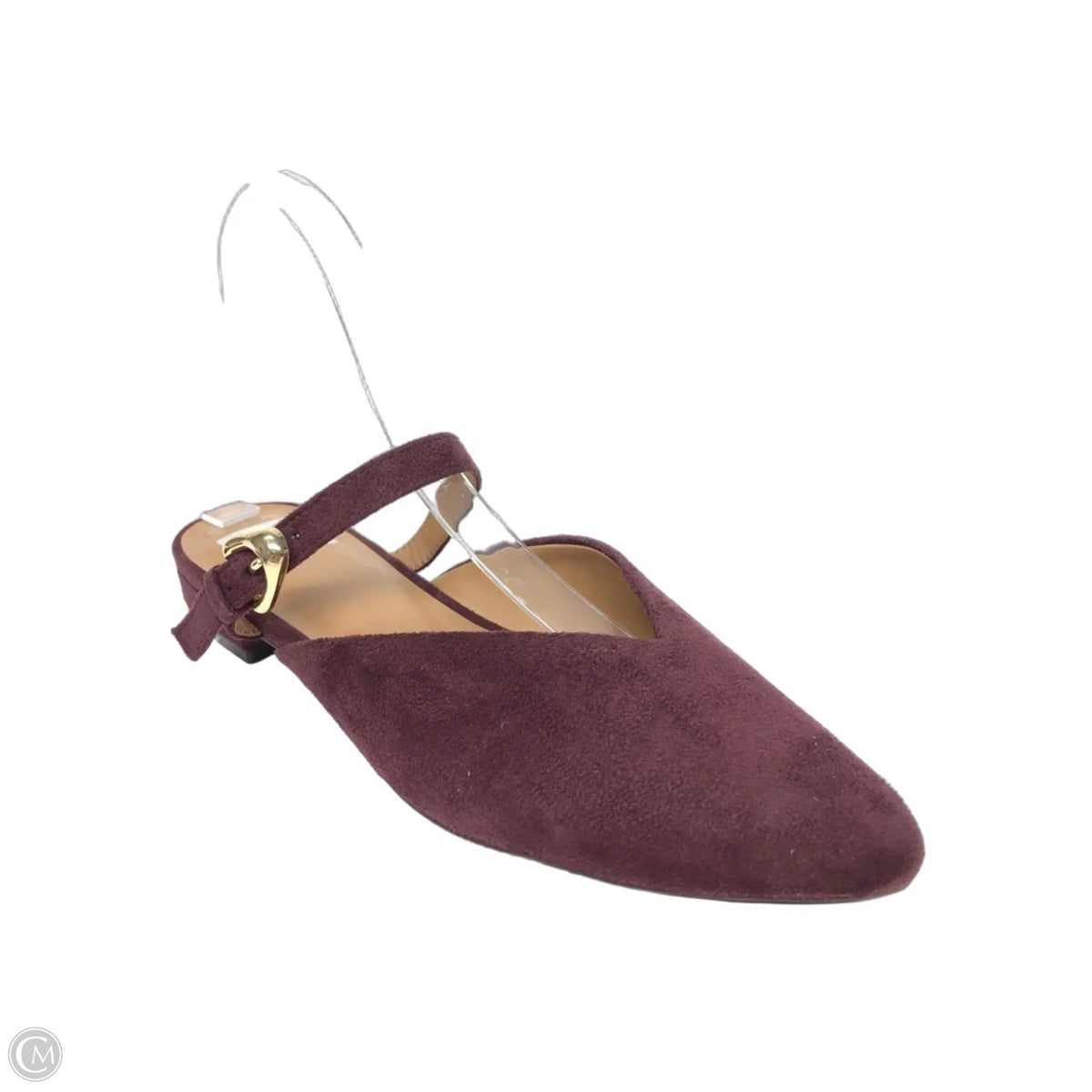 Shoes Flats By Dolce Vita In Maroon, Size: 8