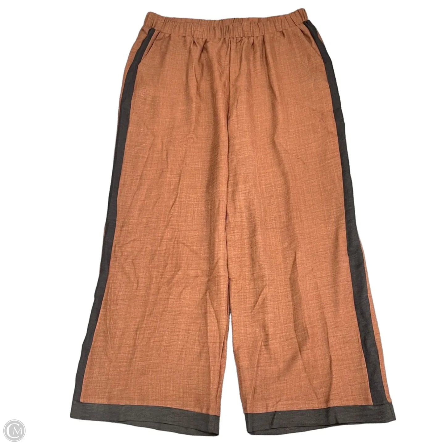 Pants Set 2pc By Shein In Brown, Size: 2x