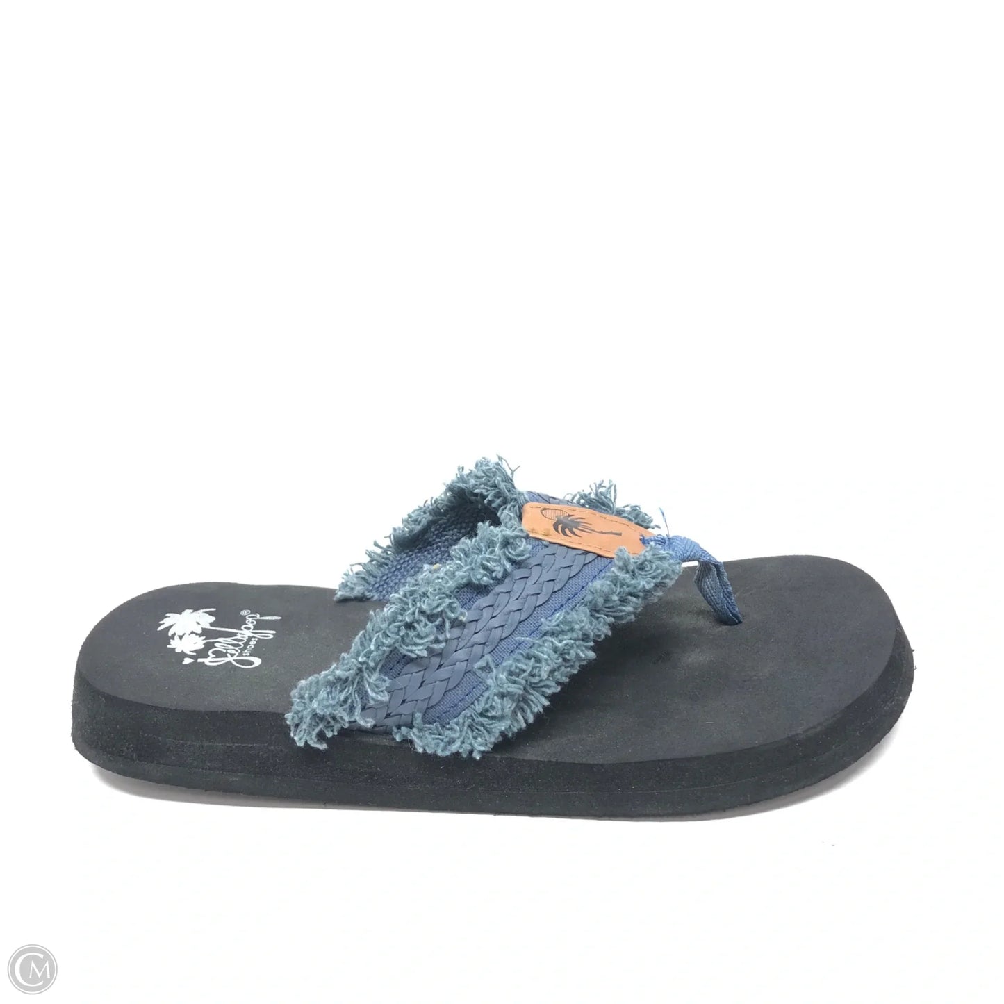 Sandals Flip Flops By Jelly Pop In Blue, Size: 7