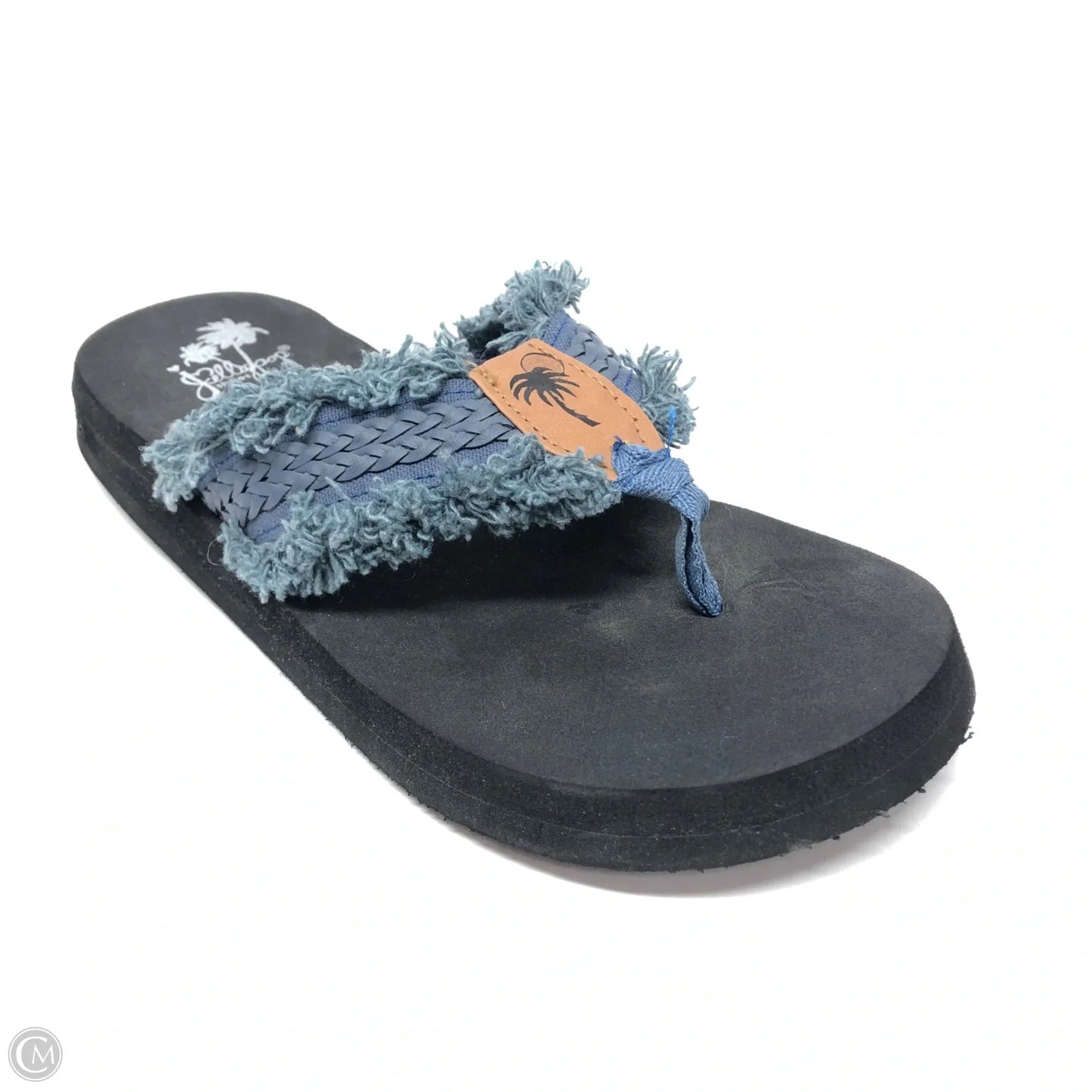 Sandals Flip Flops By Jelly Pop In Blue, Size: 7