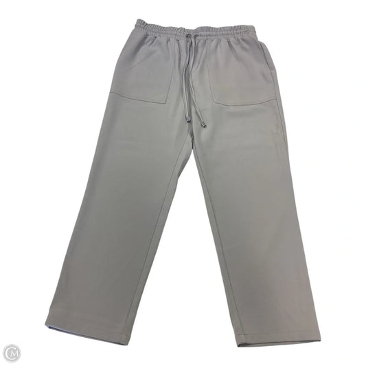 Pants Other By Clothes Mentor In Grey, Size: S