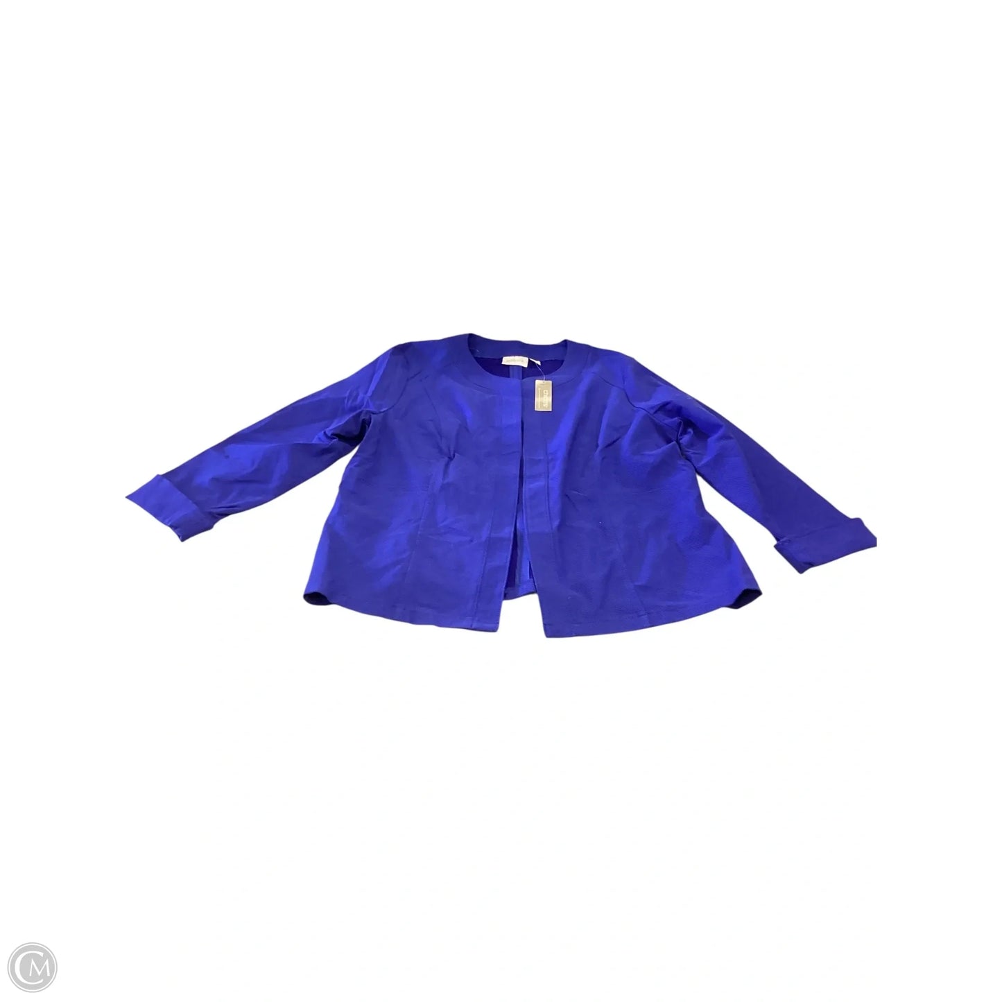 Top Long Sleeve By Chicos In Blue, Size: Xl