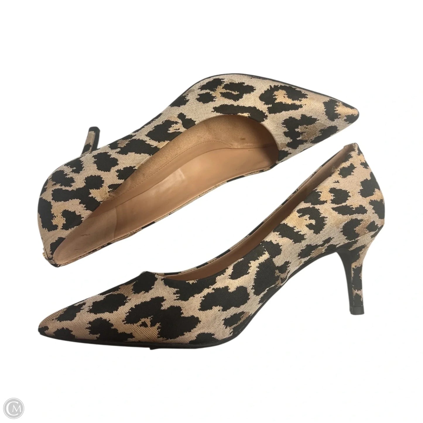 Shoes Heels Stiletto By Cole-haan In Animal Print, Size: 6.5