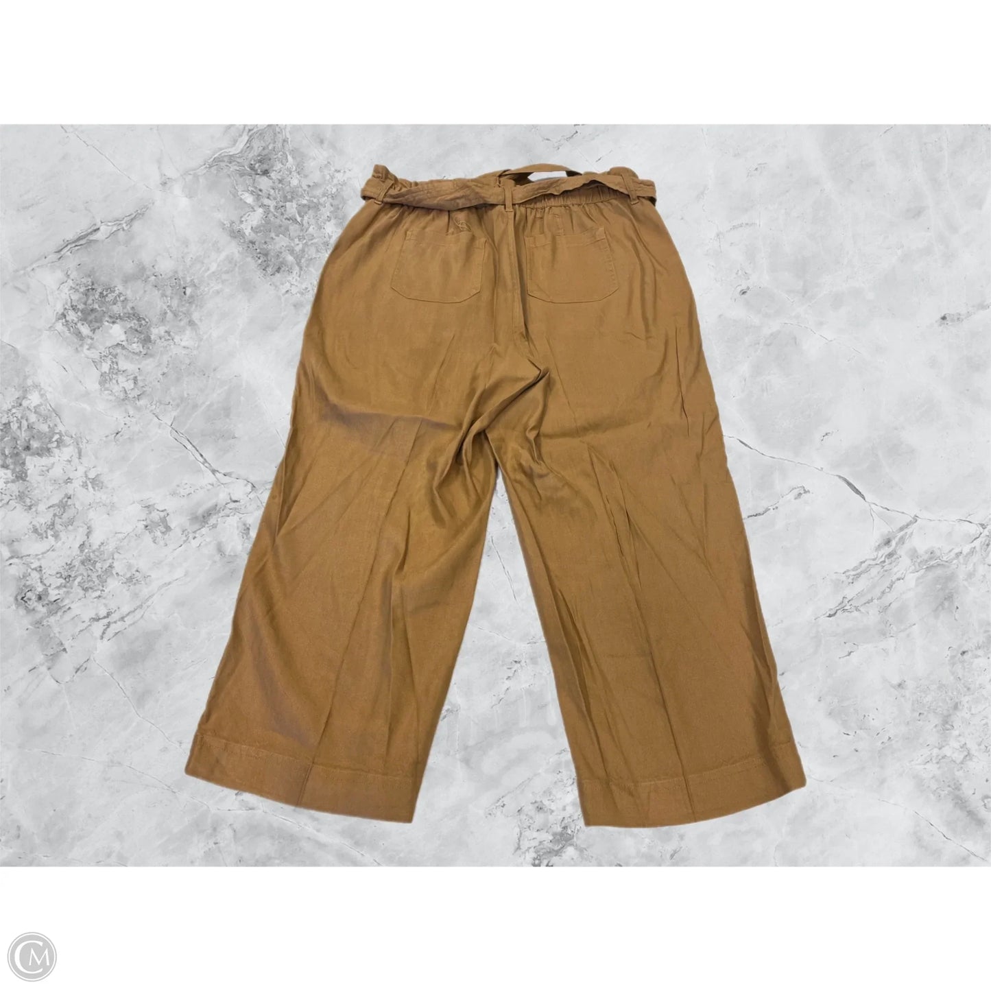 Pants Other By Calvin Klein In Brown, Size: M