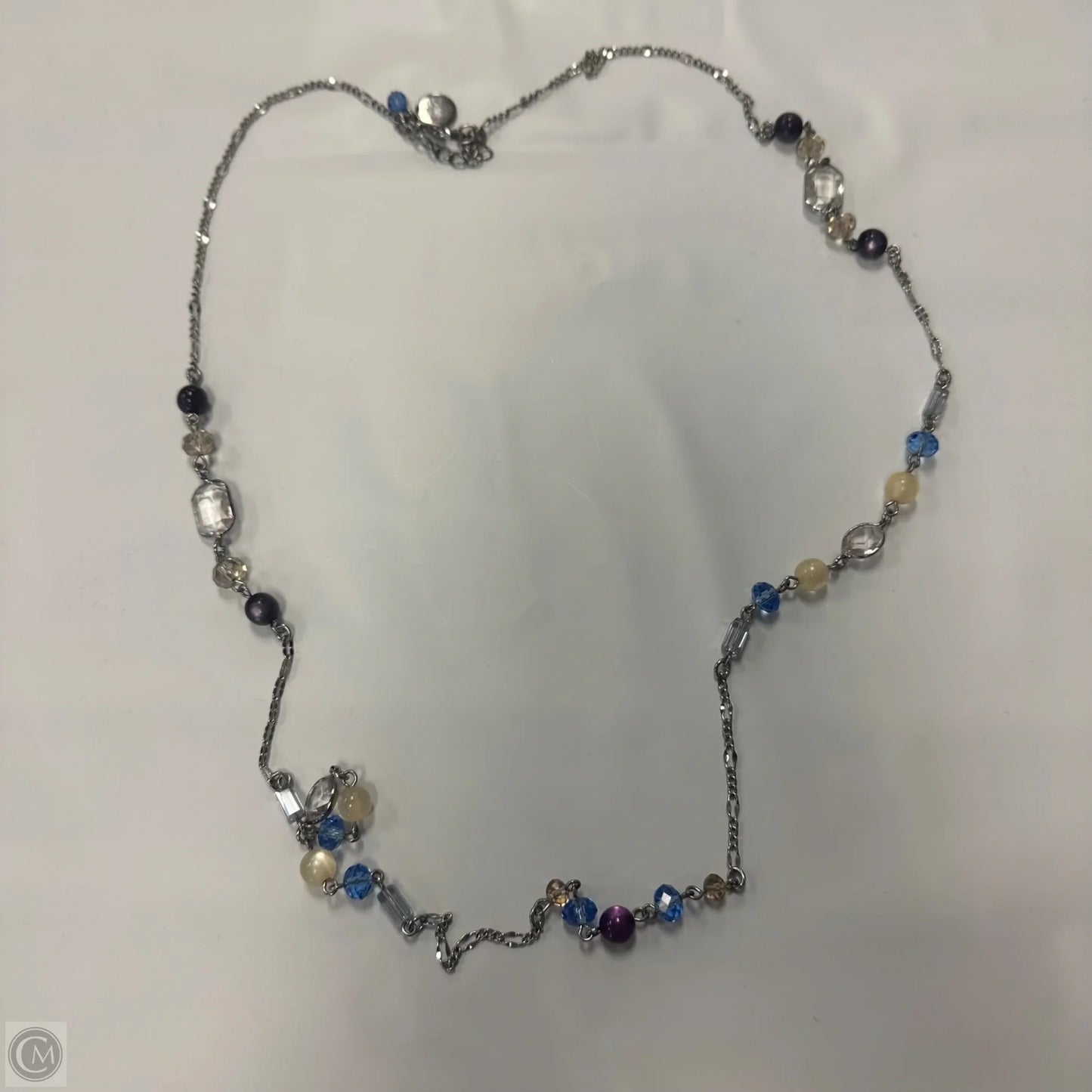 Necklace Chain By White House Black Market