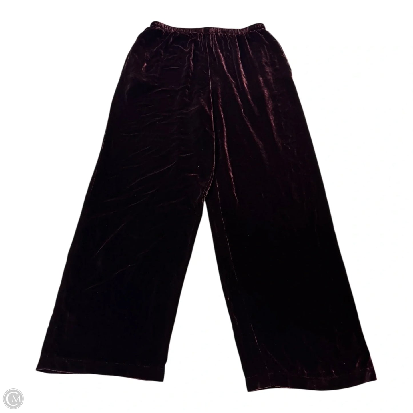 Pants Other By Eileen Fisher In Brown, Size: L