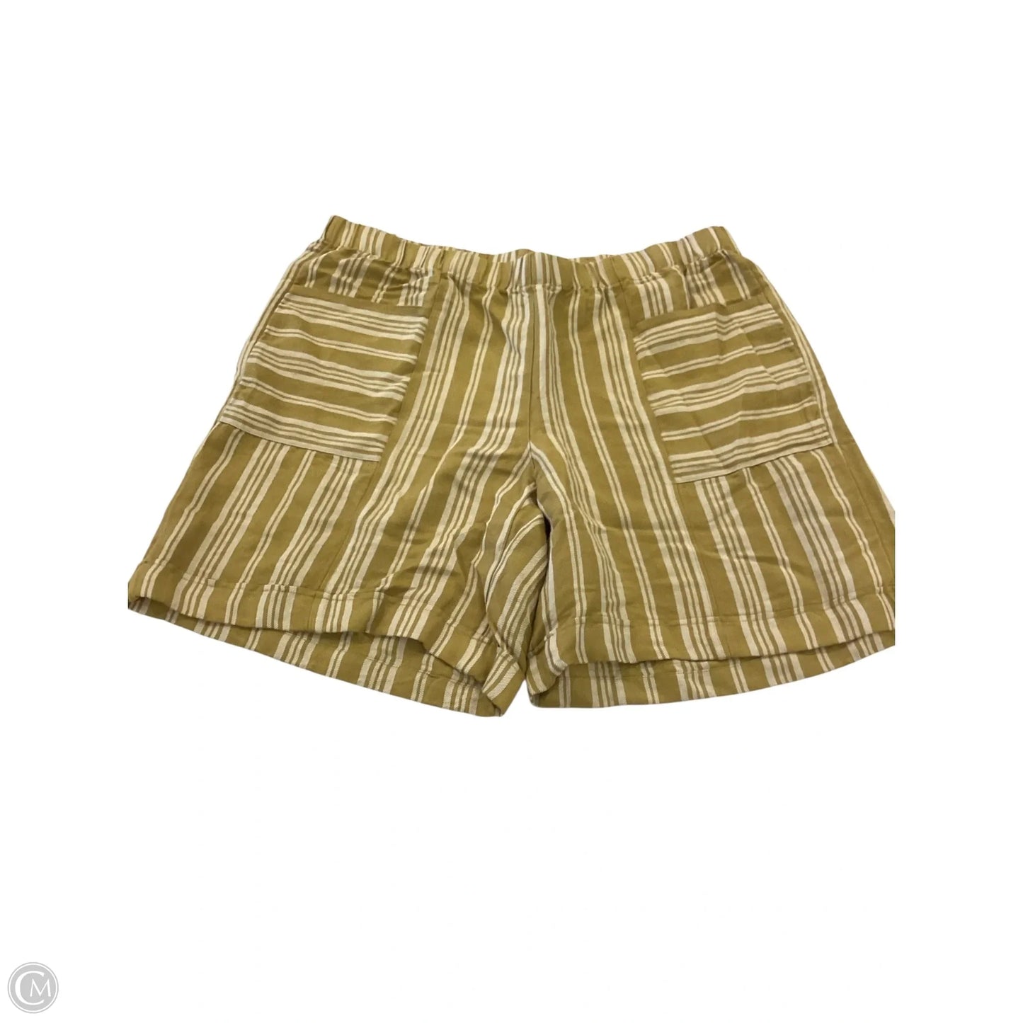 Shorts By J. Jill In Green, Size: Xl