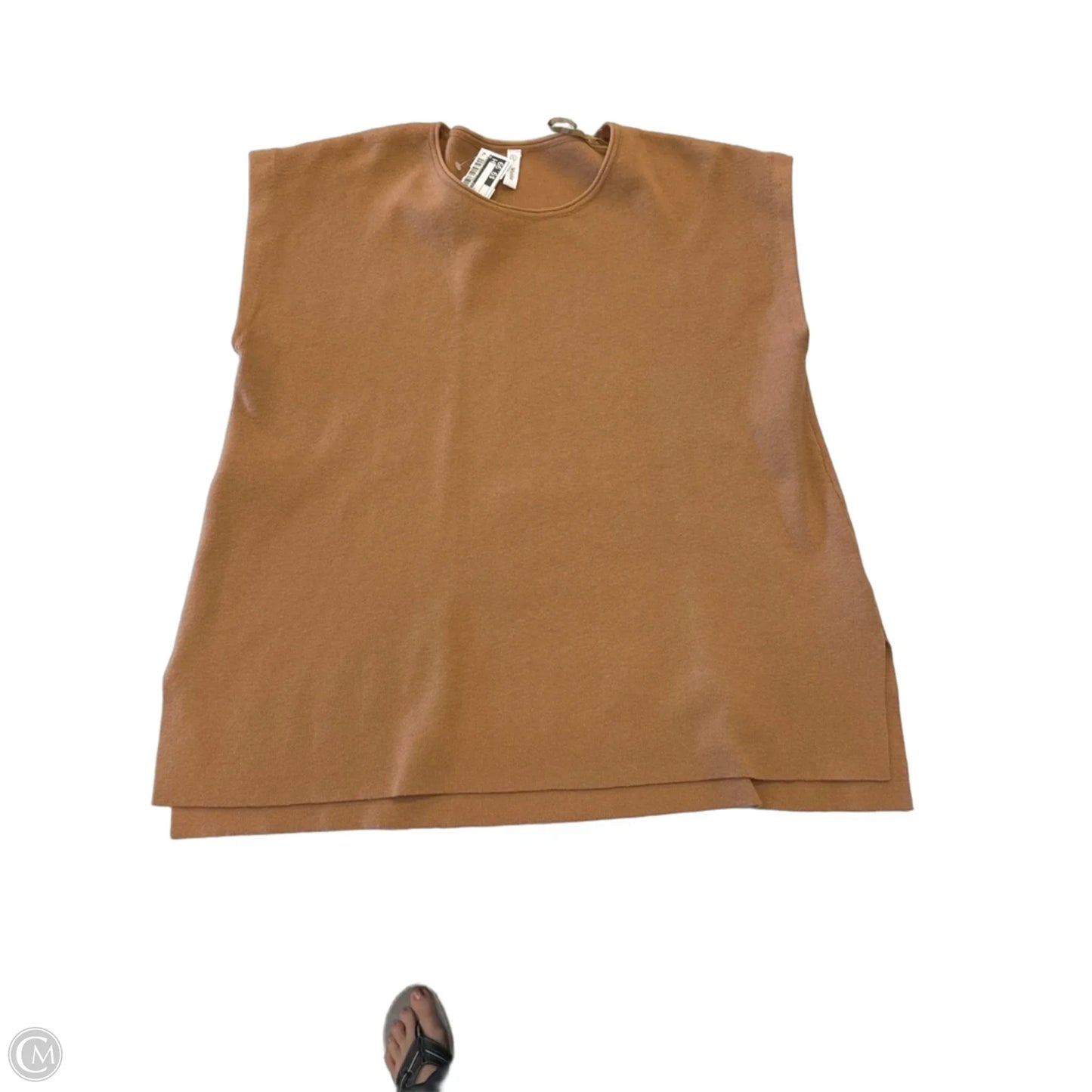 Top Short Sleeve By Wishlist In Brown, Size: L