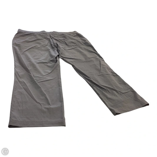 Athletic Pants By Columbia In Grey, Size: Xl