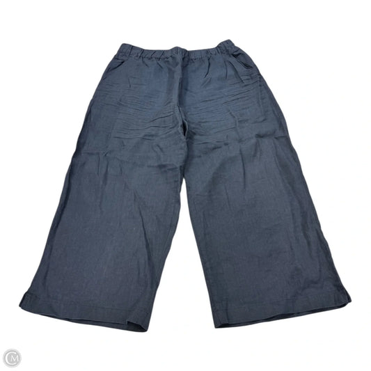 Pants Linen By Cynthia Rowley In Navy, Size: Xl