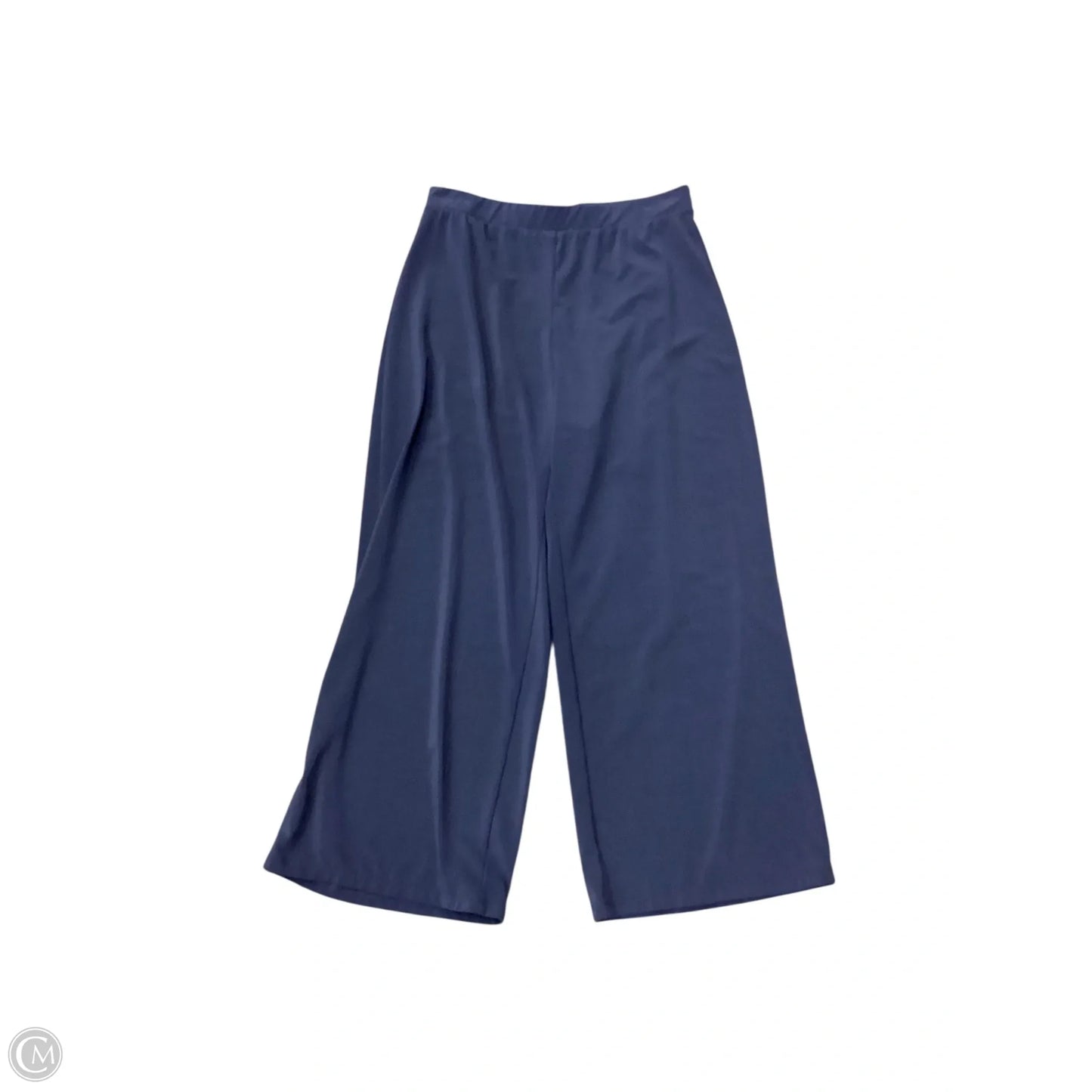 Pants Other By Chicos In Navy, Size: 0