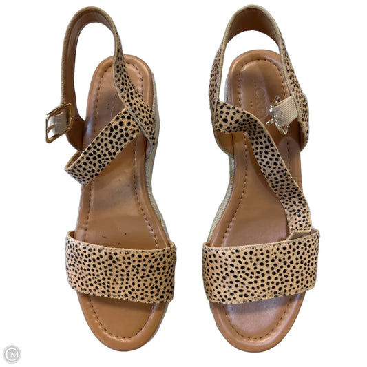 Shoes Heels Platform By J. Crew In Animal Print, Size: 6.5