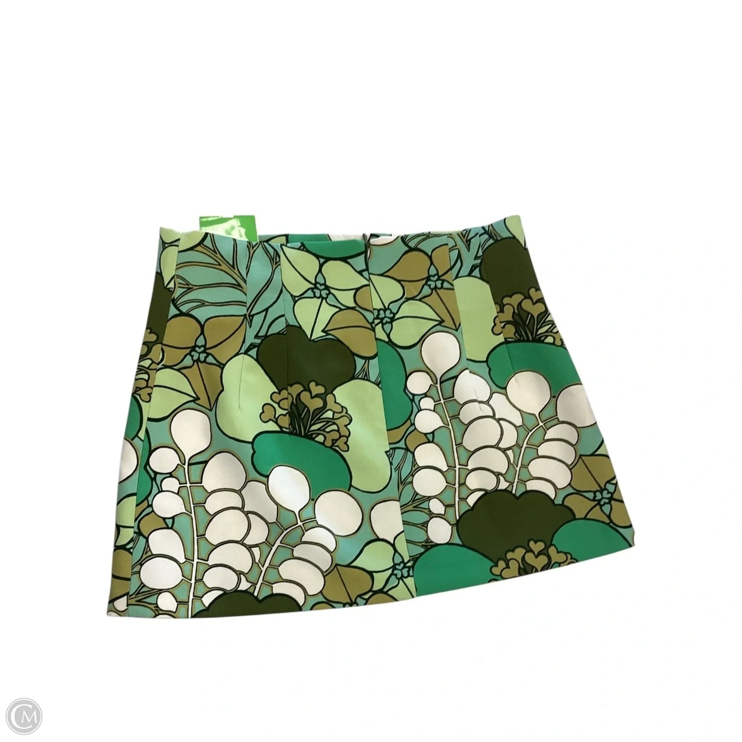 Skirt Mini & Short By Zara In Multi-colored, Size: L