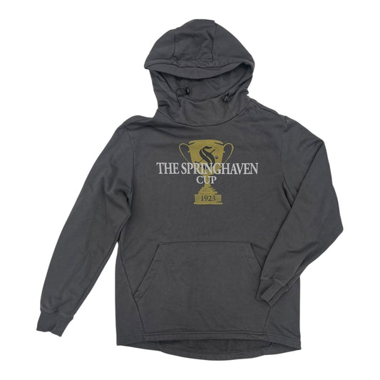 Sweatshirt Hoodie By Clothes Mentor In Grey, Size:L