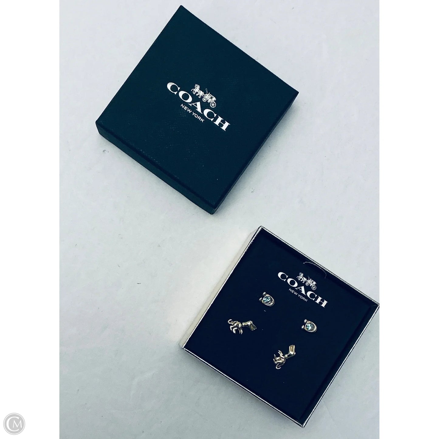 Earrings Designer By Coach, Size: 02 Piece Set