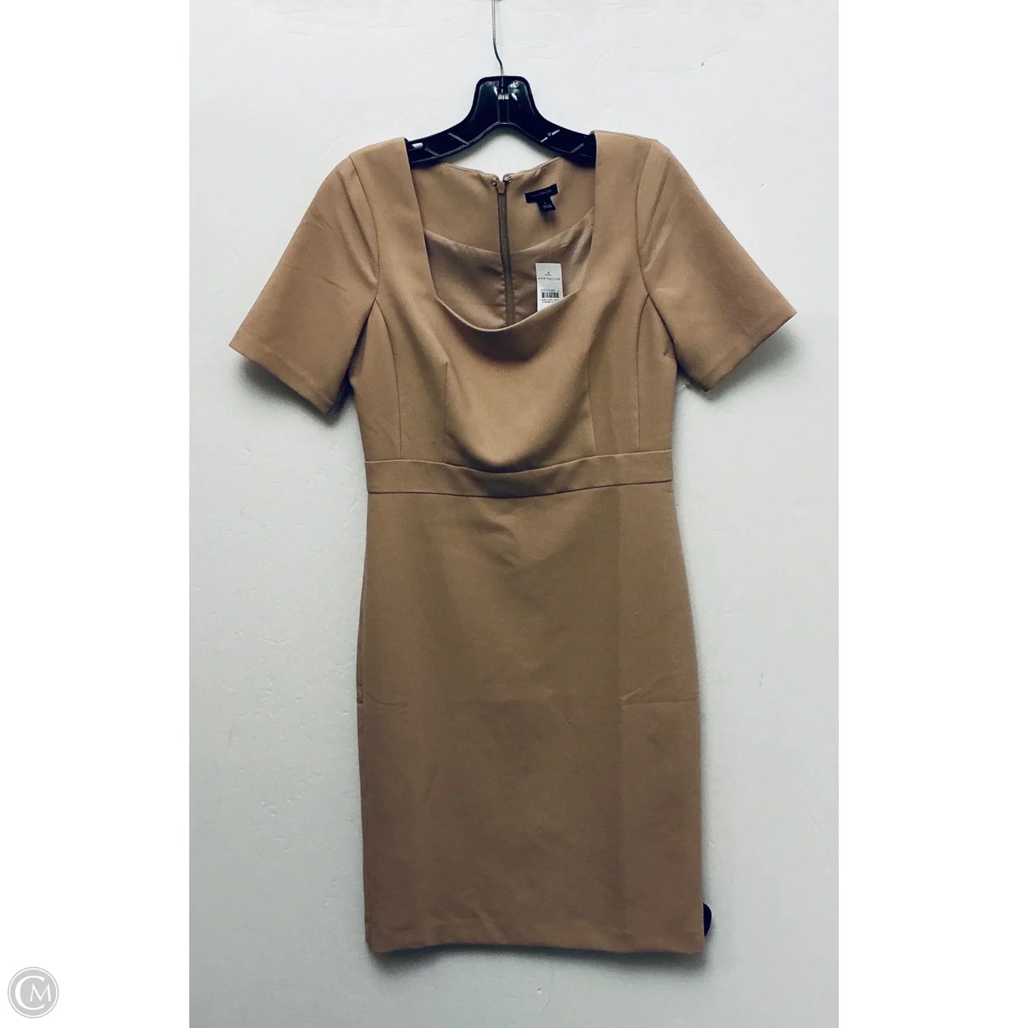 Dress Work By Ann Taylor In Brown, Size: Xs
