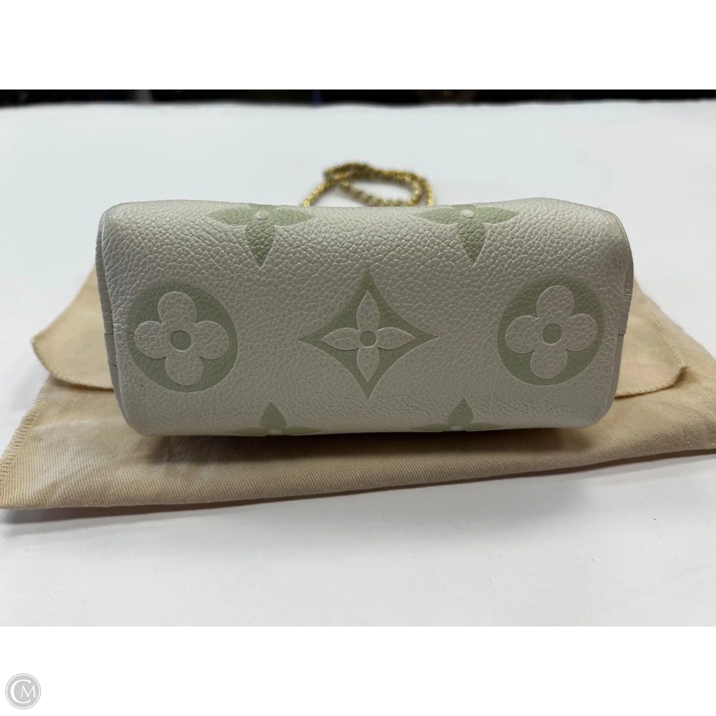 Handbag Luxury Designer By Louis Vuitton