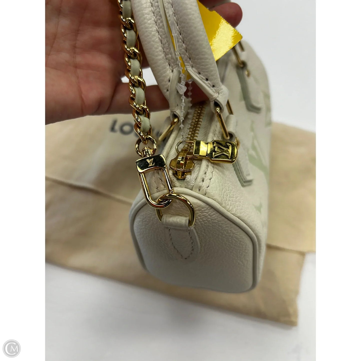 Handbag Luxury Designer By Louis Vuitton
