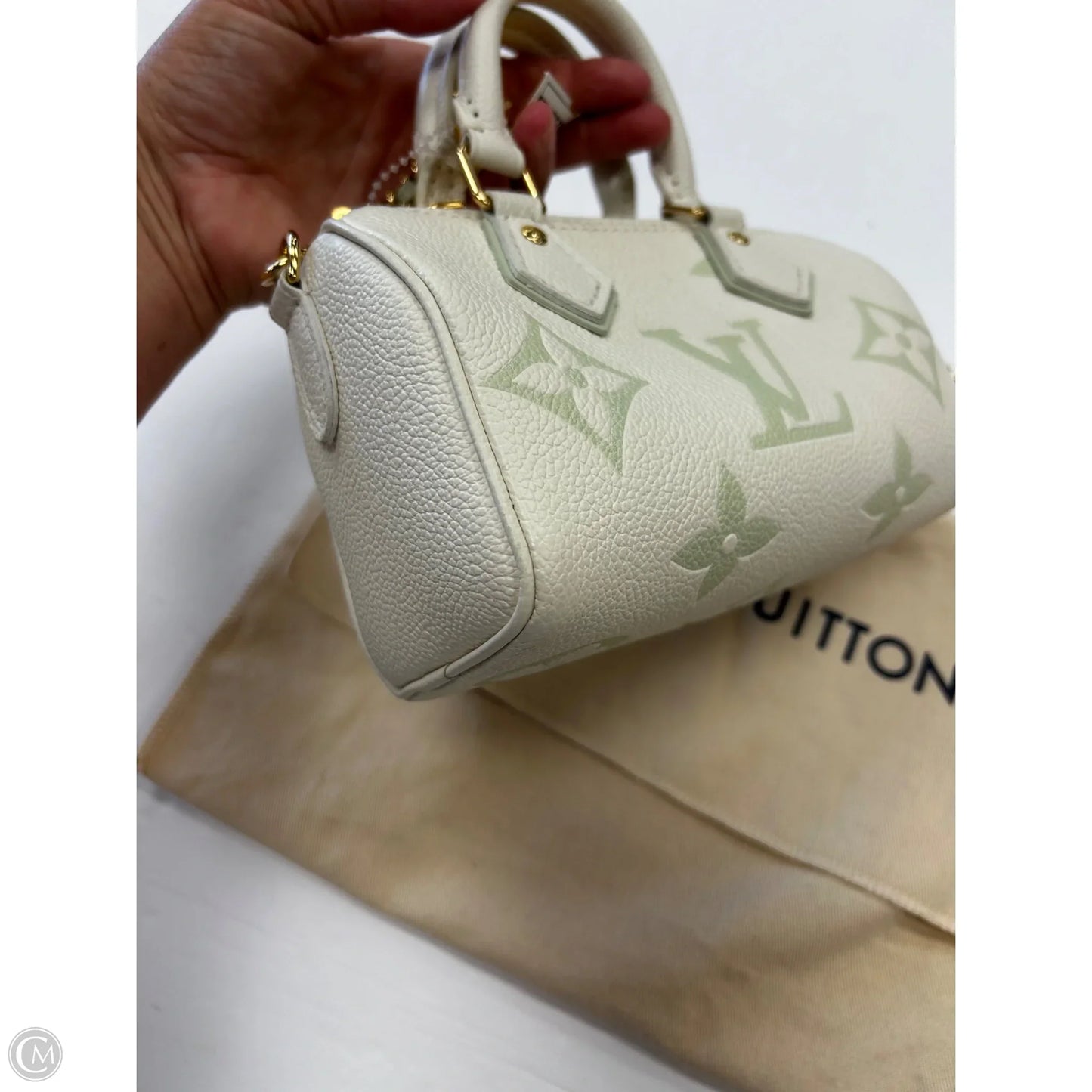 Handbag Luxury Designer By Louis Vuitton