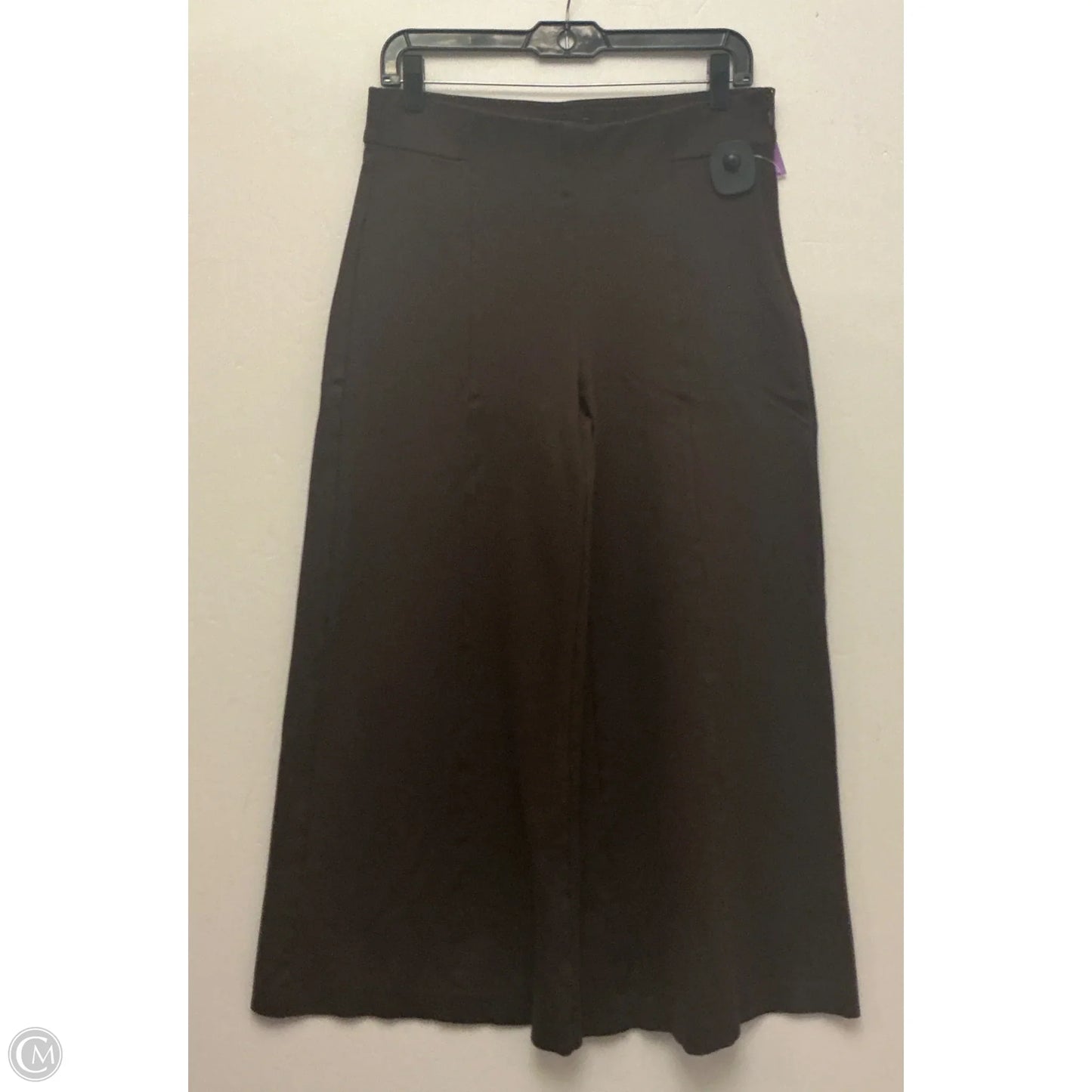 Pants Other By Ann Taylor In Brown, Size: 8