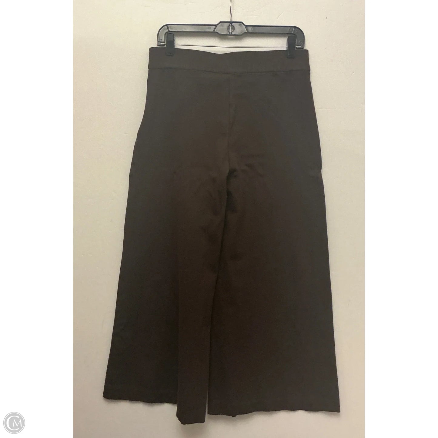 Pants Other By Ann Taylor In Brown, Size: 8