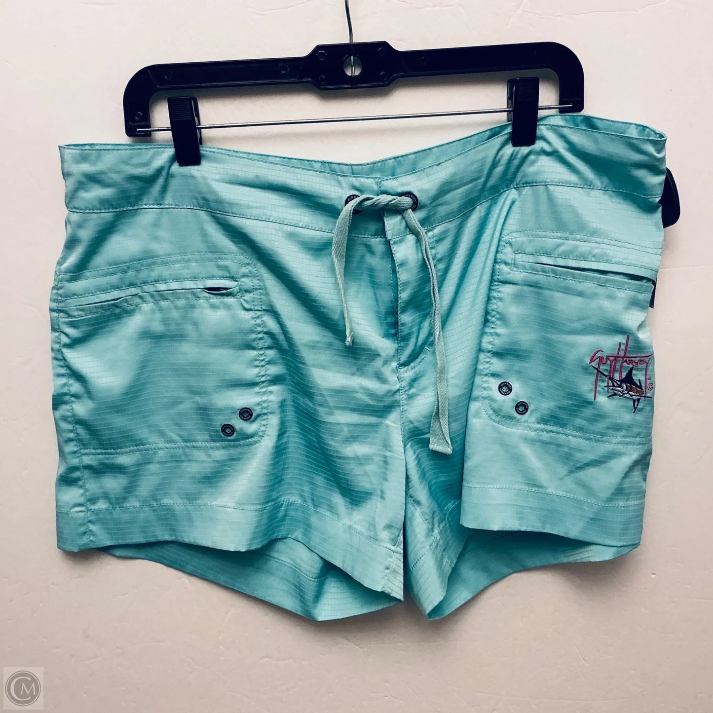 Shorts By Clothes Mentor In Teal, Size: L