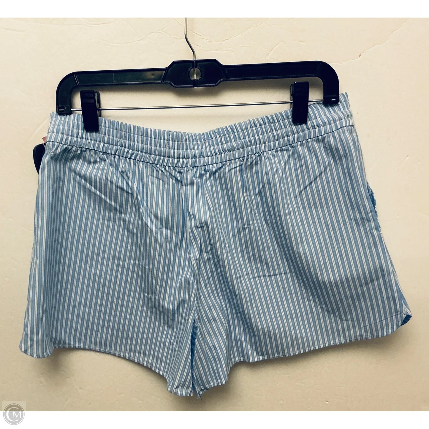 Shorts By Zara In Blue, Size: M