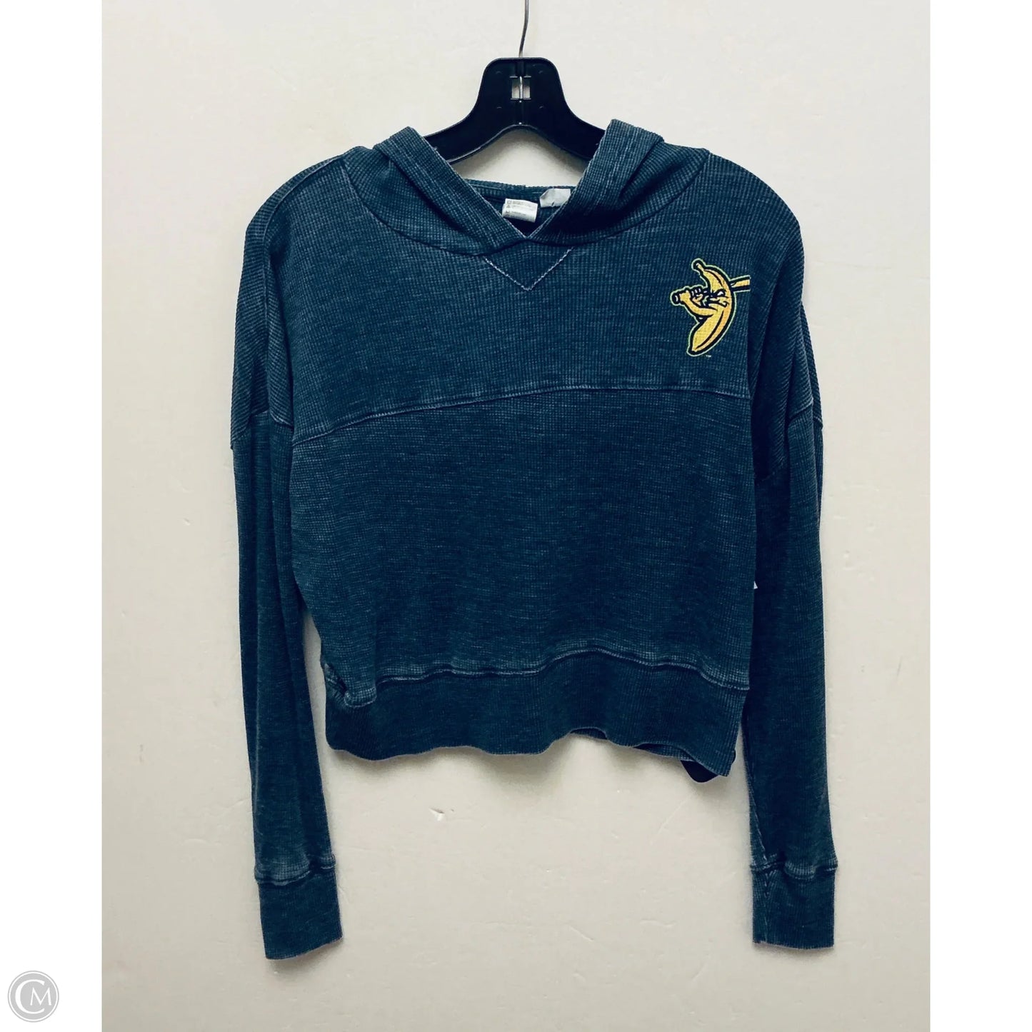 Sweatshirt Hoodie By Clothes Mentor In Blue, Size: S
