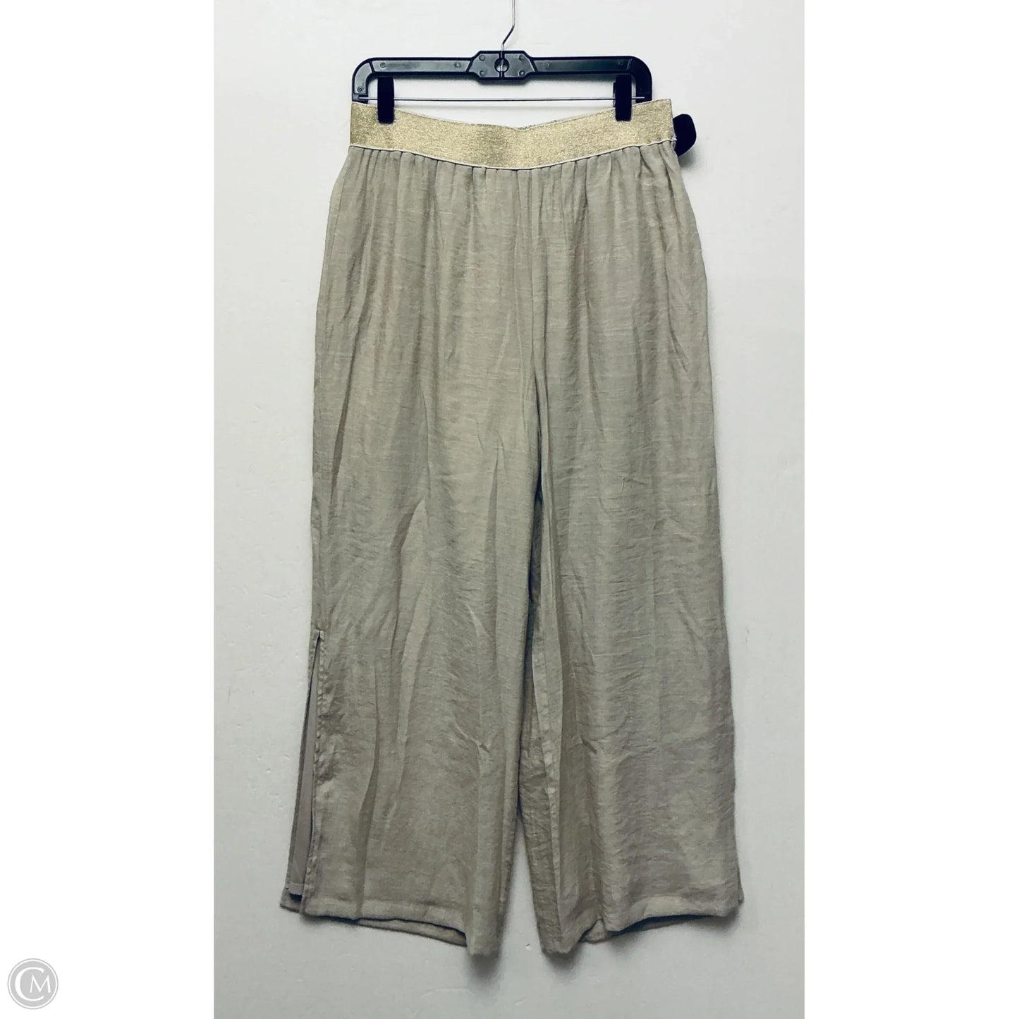 Pants Wide Leg By Thalia Sodi In Tan, Size: L