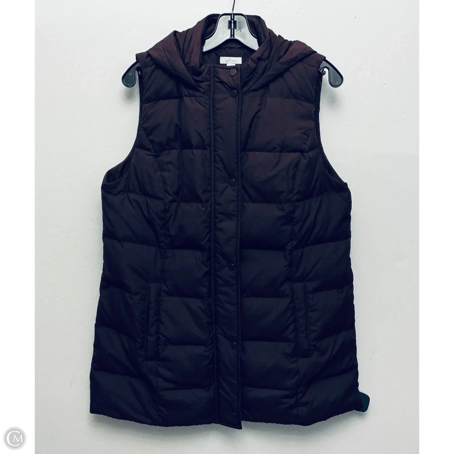 Jacket Puffer & Quilted By J. Jill In Purple, Size: M