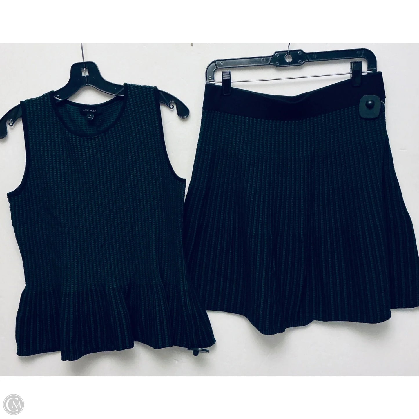 Skirt Set 2pc By Ann Taylor In Black & Green, Size: M