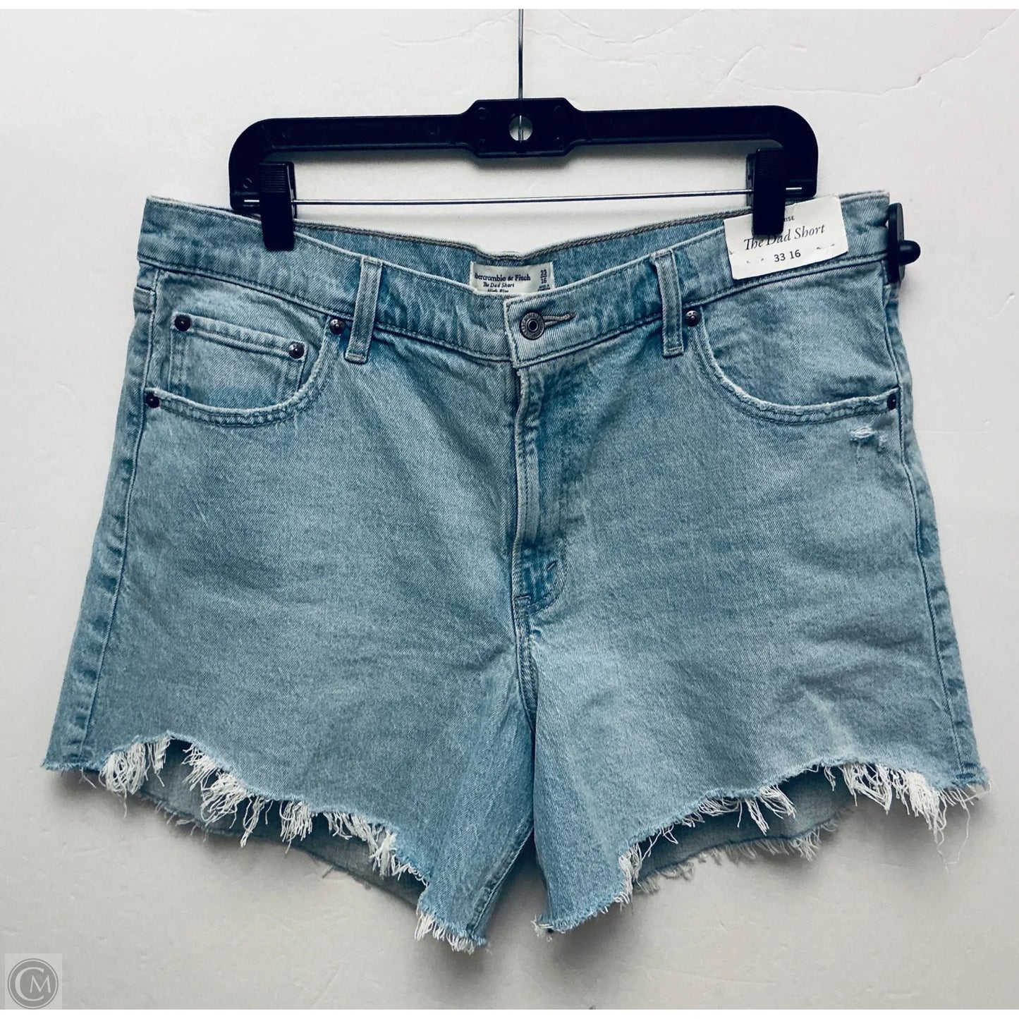 Shorts By Abercrombie And Fitch In Blue, Size: 16
