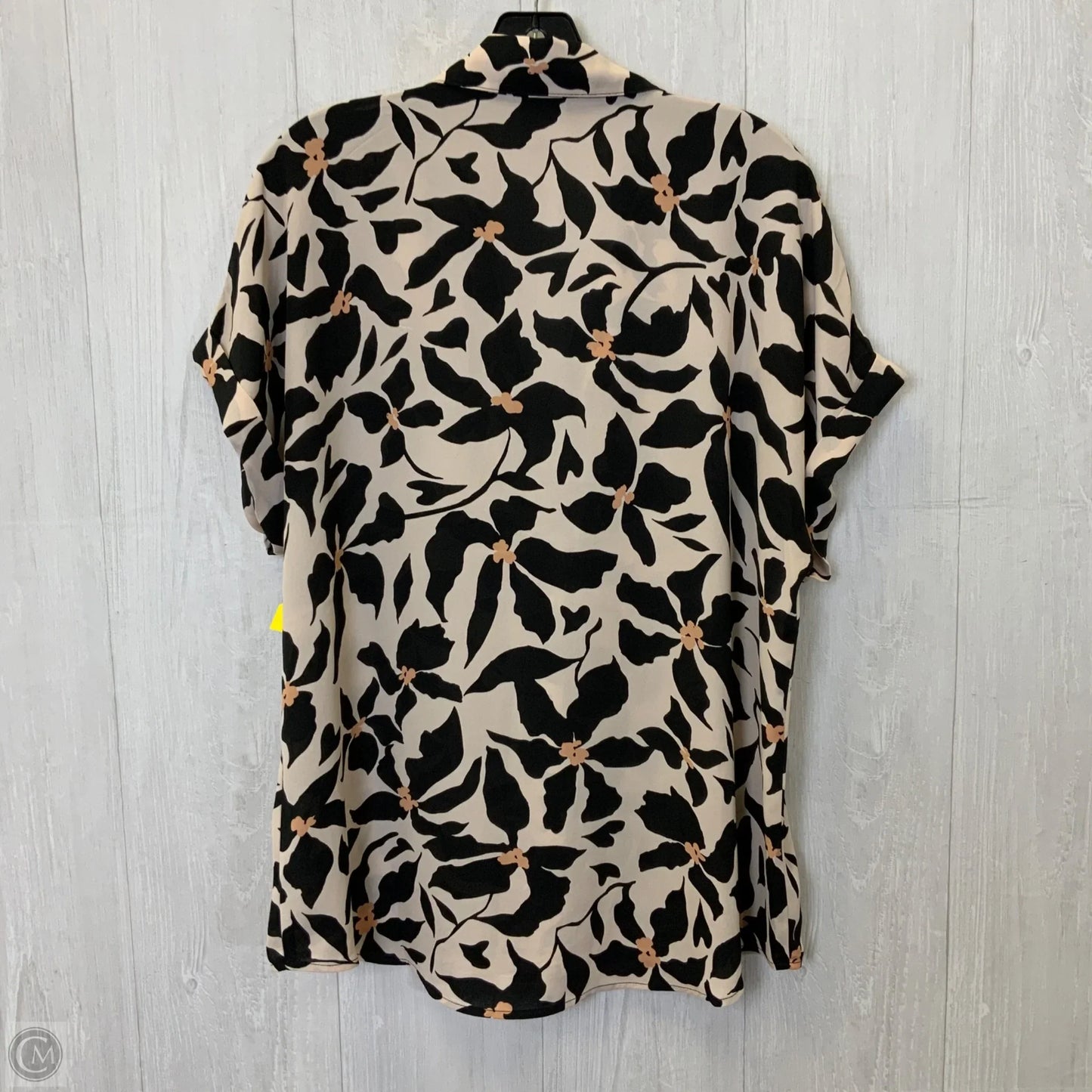 Blouse Short Sleeve By Cabi In Black & Cream, Size: M