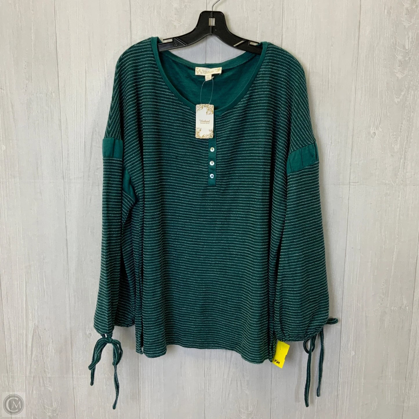 Top Long Sleeve By Suzanne Betro In Teal, Size: 3x