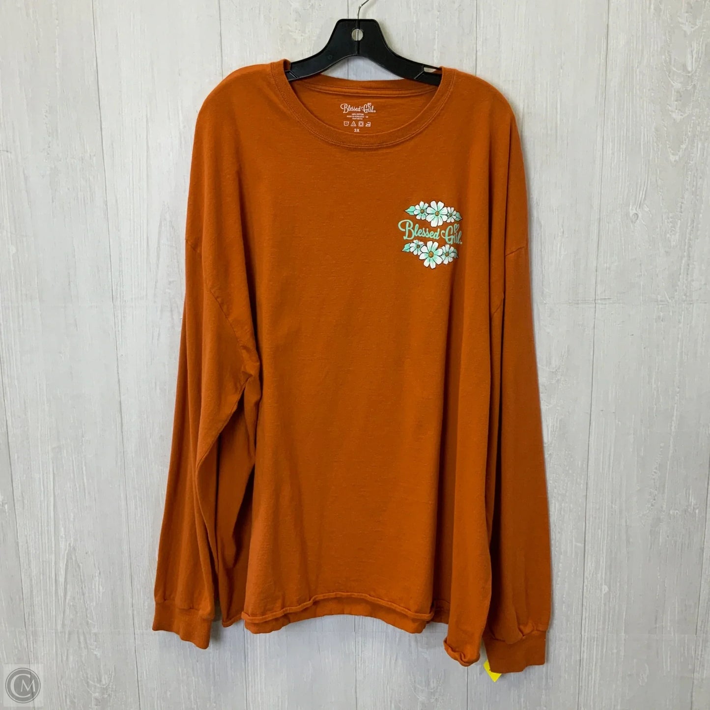 Top Long Sleeve By Clothes Mentor In Orange, Size: 3x