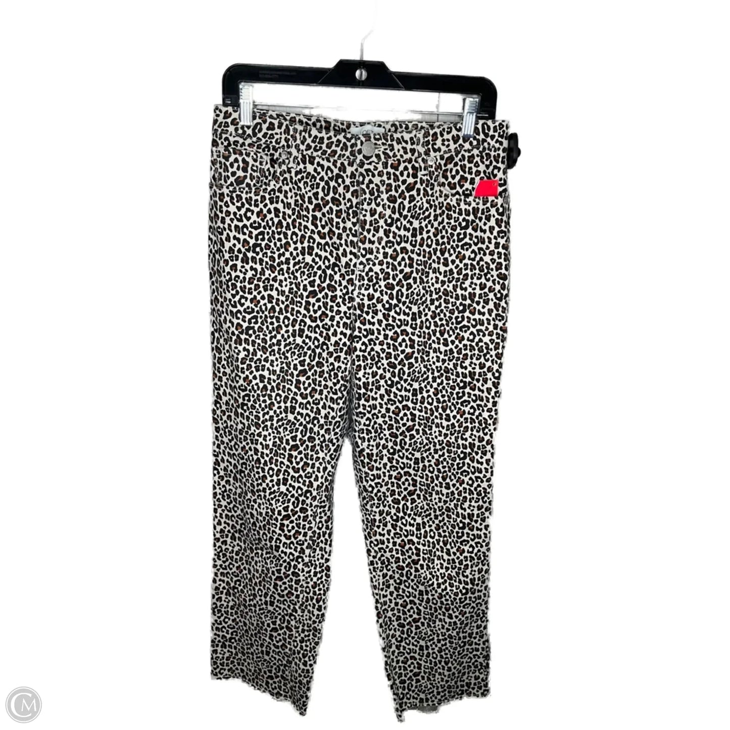 Pants Other By Loft In Animal Print, Size: 6