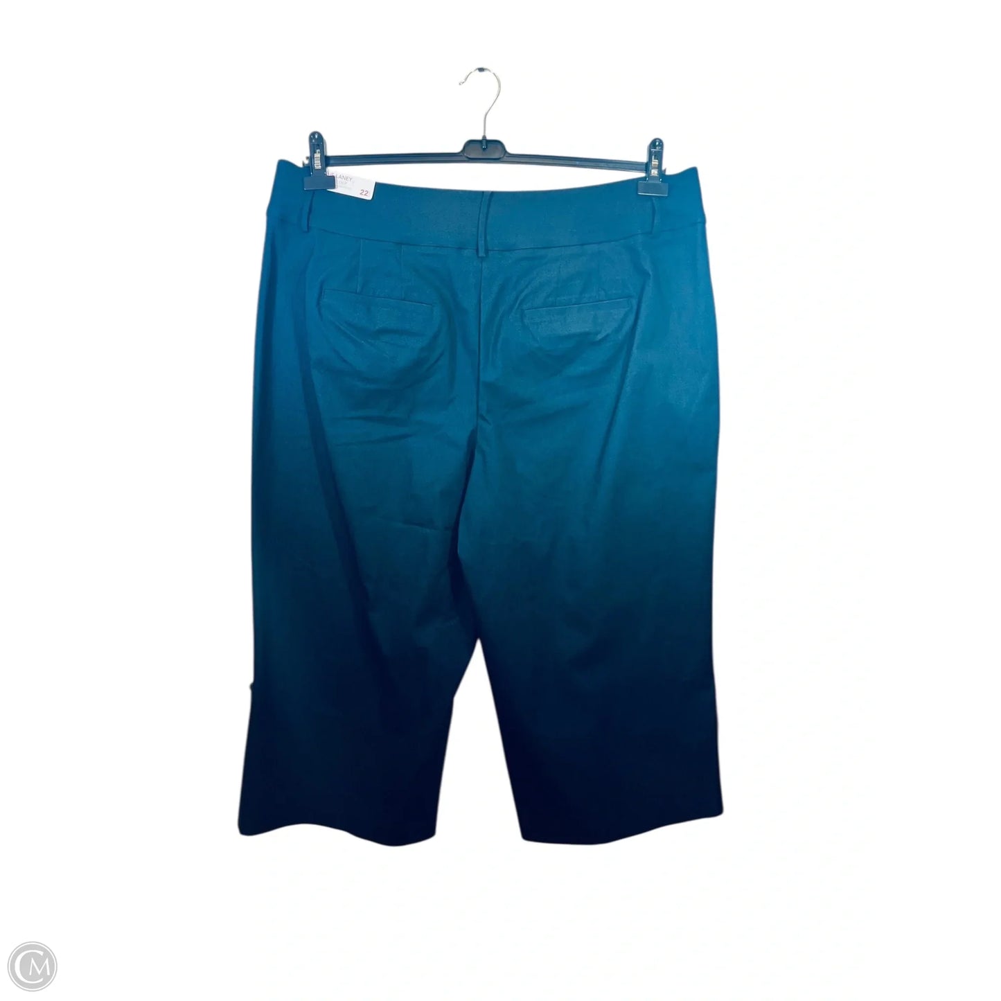 Pants Wide Leg By Lane Bryant In Navy, Size: 22