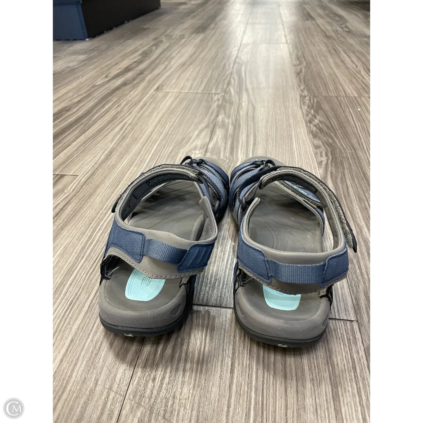 Sandals Flats By Teva In Blue & Grey, Size: 9