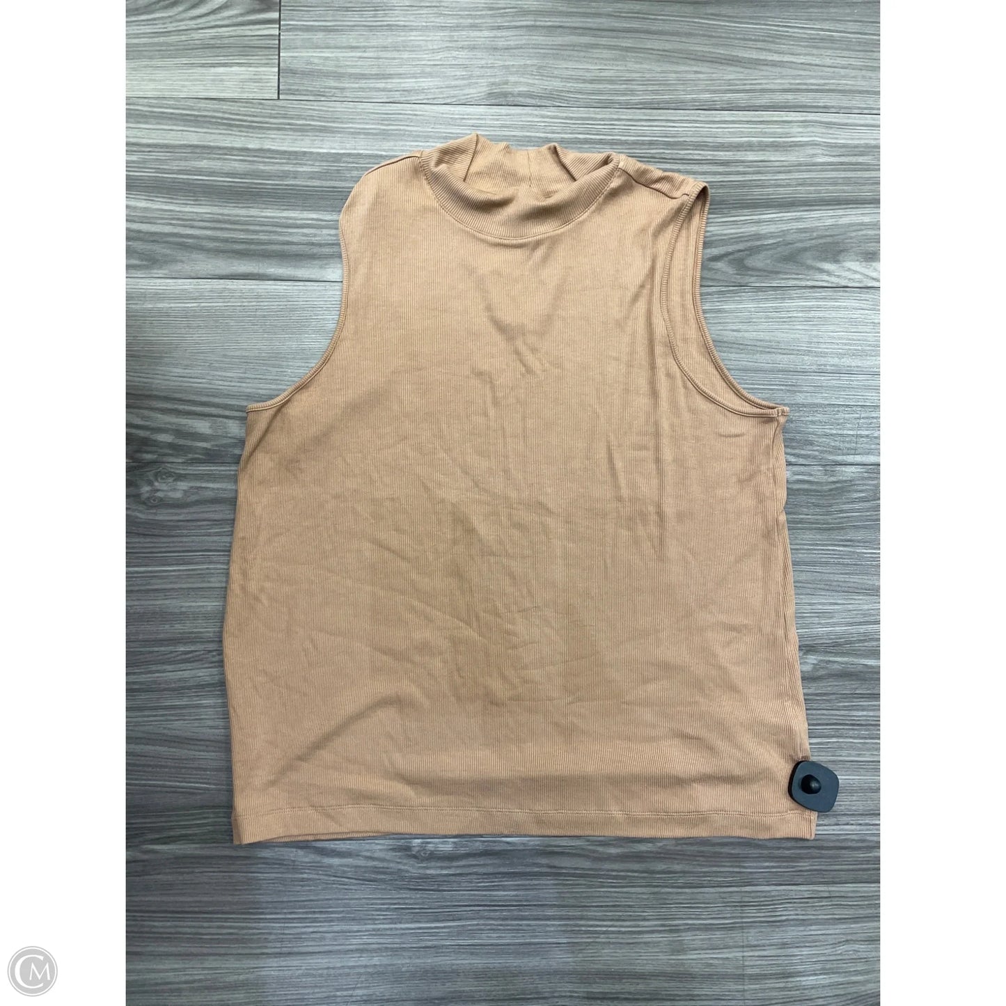 Top Sleeveless By Time And Tru In Tan, Size: 2x
