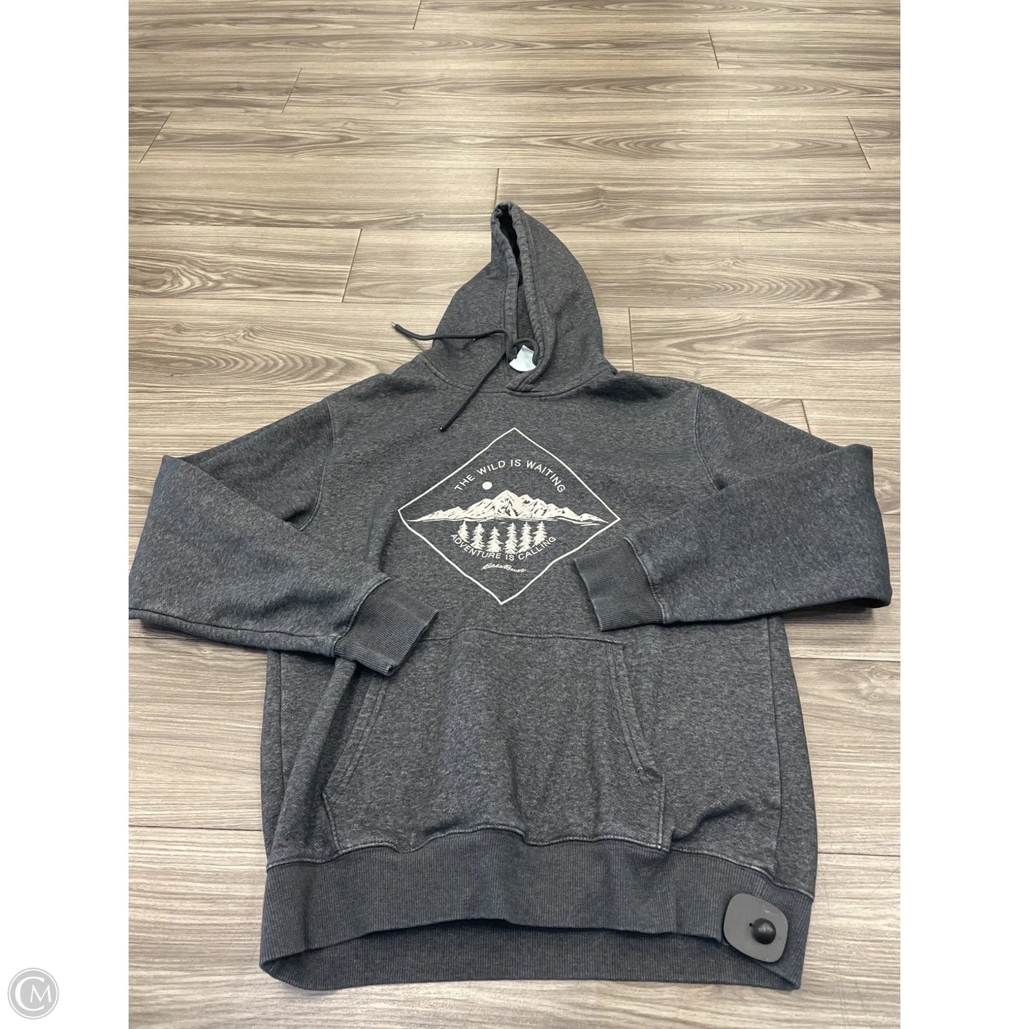 Sweatshirt Hoodie By Eddie Bauer In Grey, Size: M