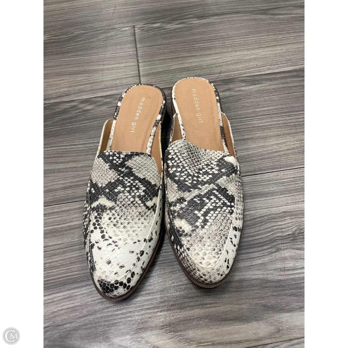 Shoes Flats By Madden Girl In Snakeskin Print, Size: 9.5