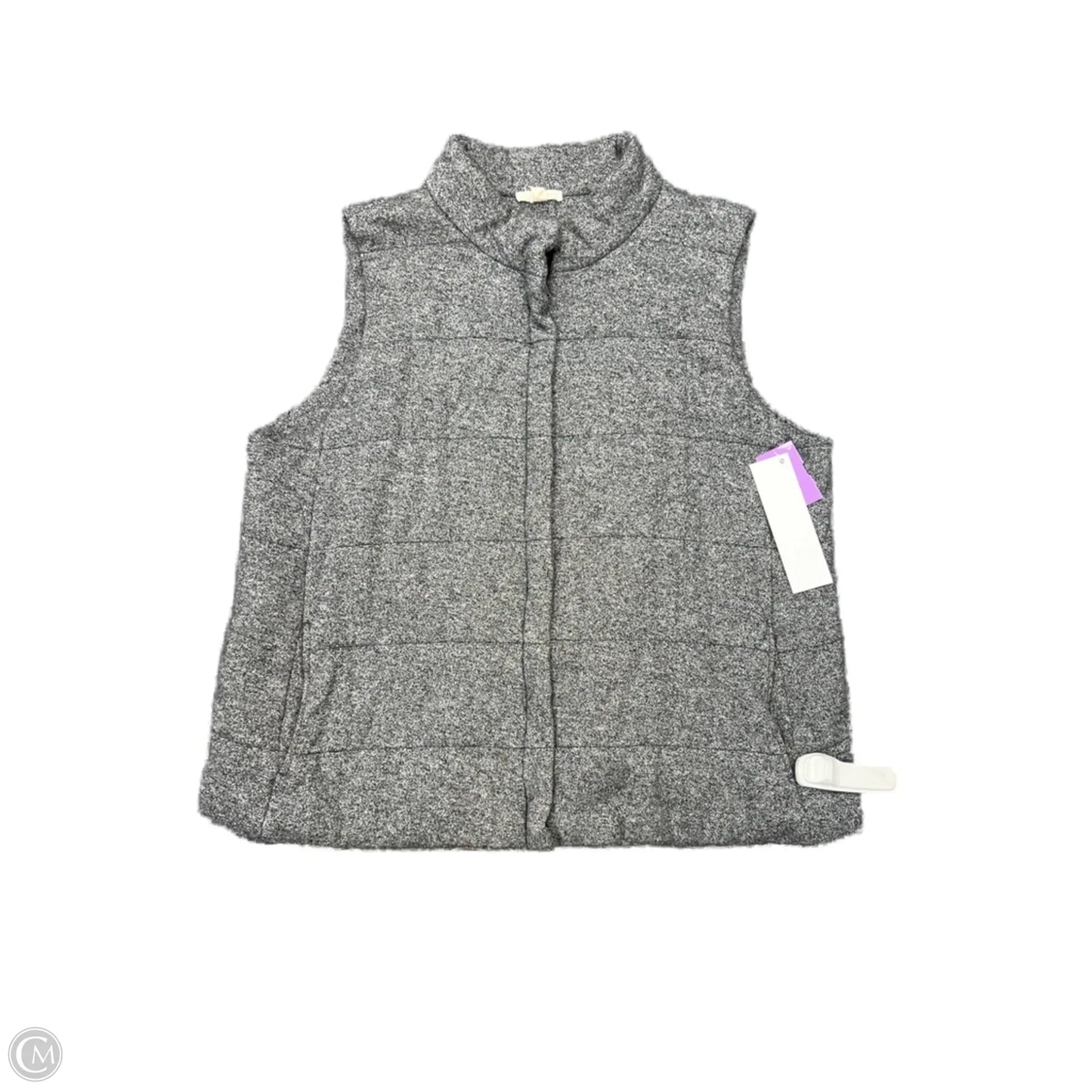 Vest Designer By Eileen Fisher In Grey, Size: M