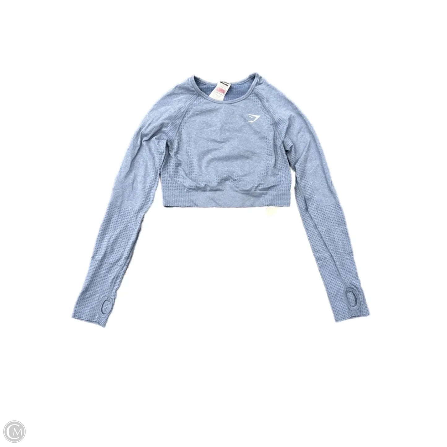 Athletic Top Long Sleeve Crewneck By Gym Shark In Blue, Size: M