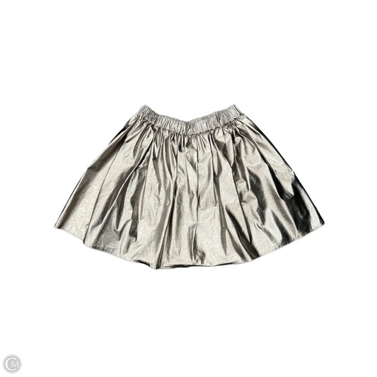 Skirt Midi By Cma In Silver, Size: M