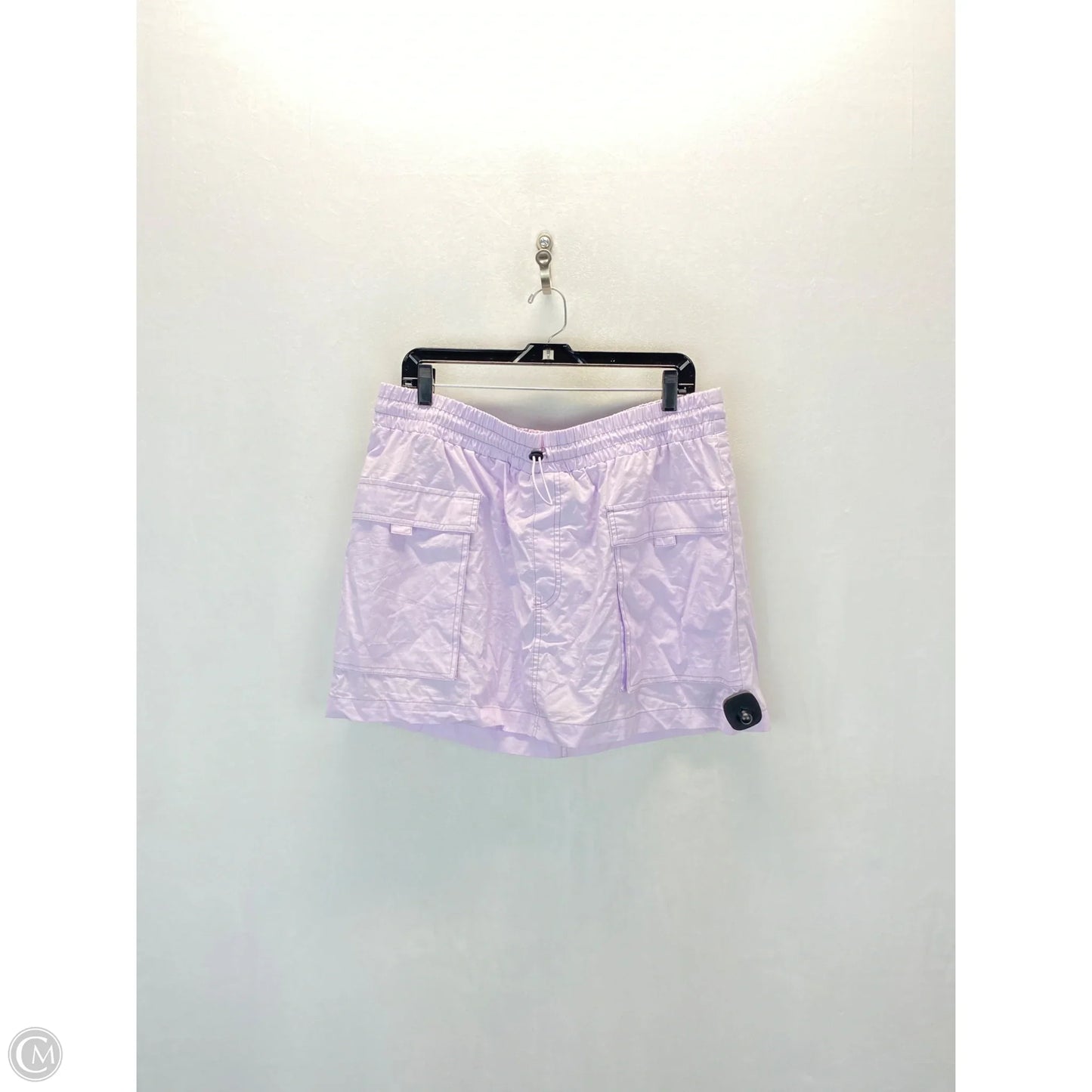 Skirt Mini & Short By Wild Fable In Purple, Size: Xl
