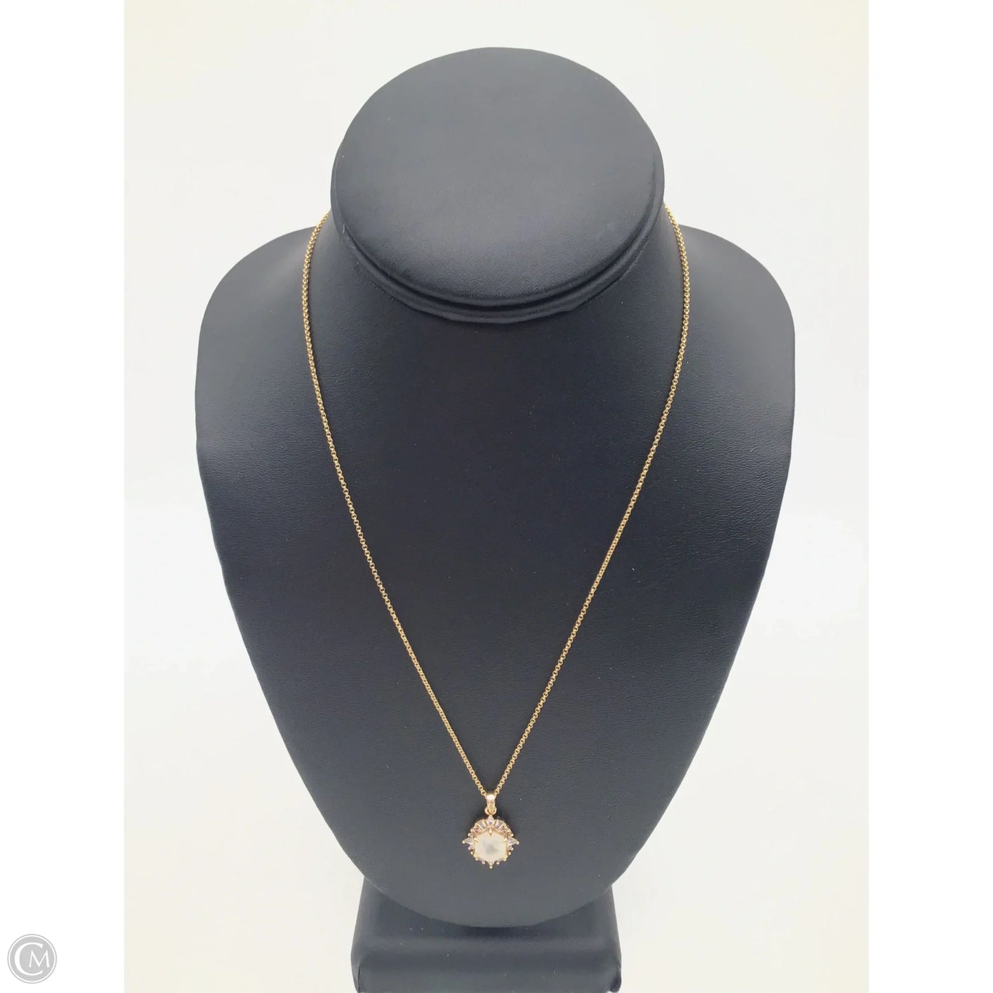 Necklace Pendant By Clothes Mentor