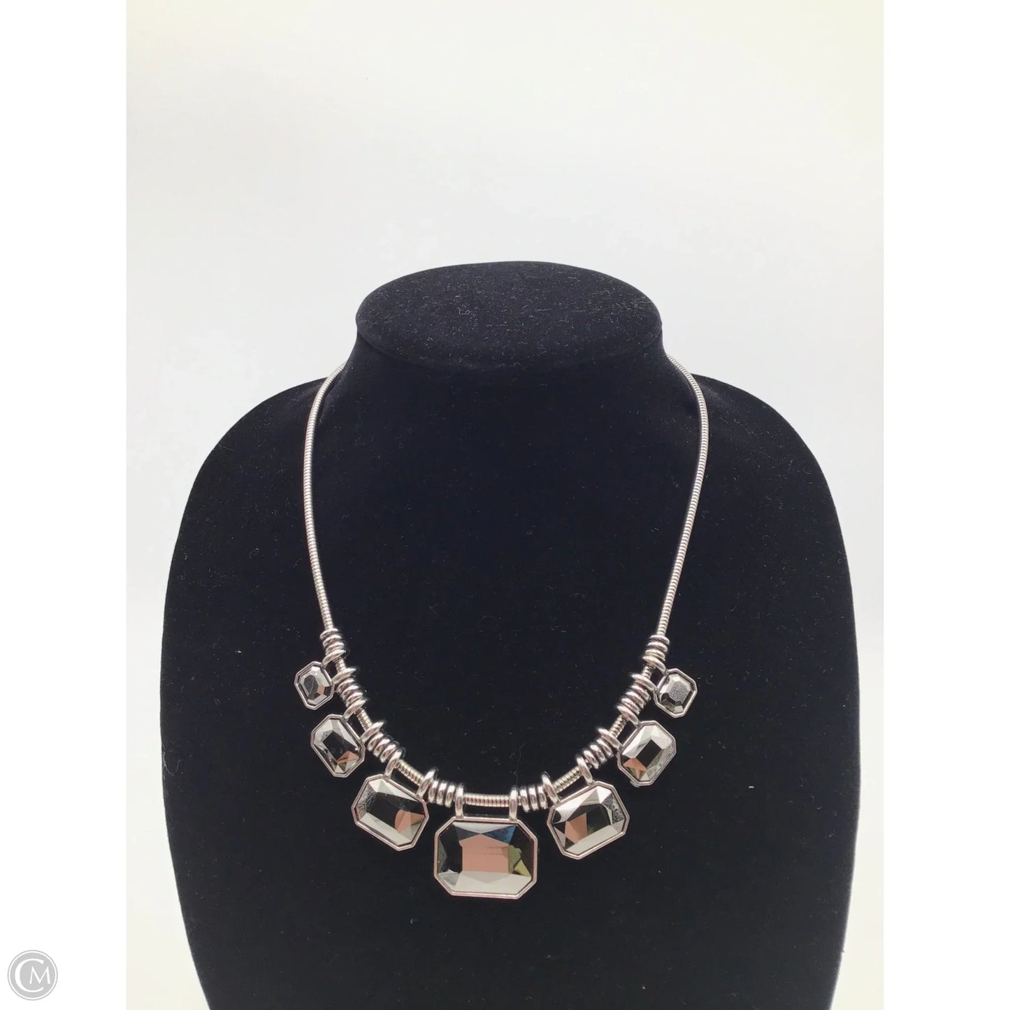 Necklace Set By Clothes Mentor, Size: 02 Piece Set