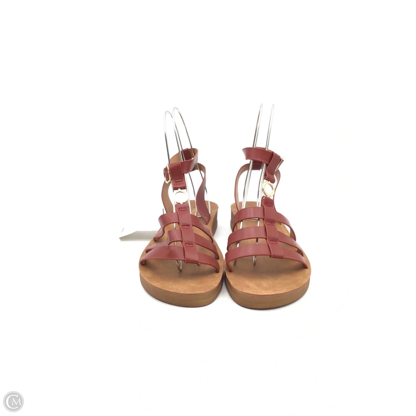 Sandals Flip Flops By Wanted In Brown, Size: 9