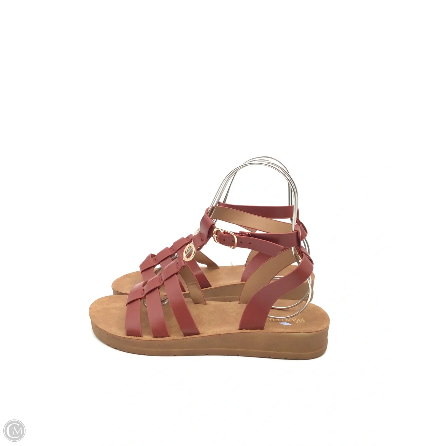 Sandals Flip Flops By Wanted In Brown, Size: 9