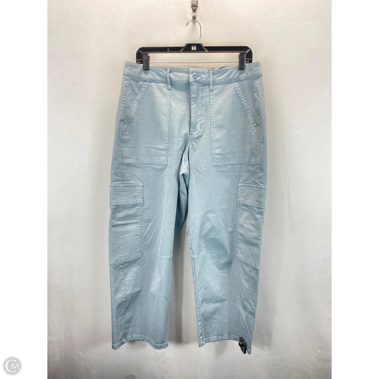 Pants Cargo & Utility By Universal Thread In Blue, Size: 12
